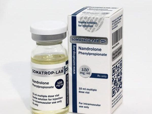 Buy Nandrolone Decanoate 250mg 10ml Hilma (Somatrop Lab)