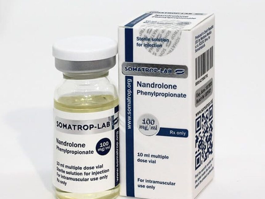 Buy Nandrolone Decanoate 250mg 10ml Hilma (Somatrop Lab)