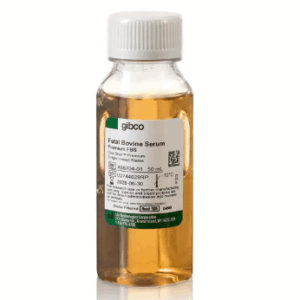 Gibco™ Smooth Muscle Growth Supplement (SMGS)