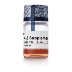 Gibco™ N-2 Supplement (100X)