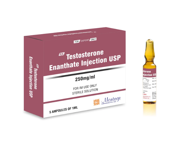 Testosteron Enanthate 250mg
